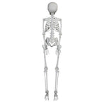 Faux Skeleton Decoration, White, 35", Halloween by Way To Celebrate