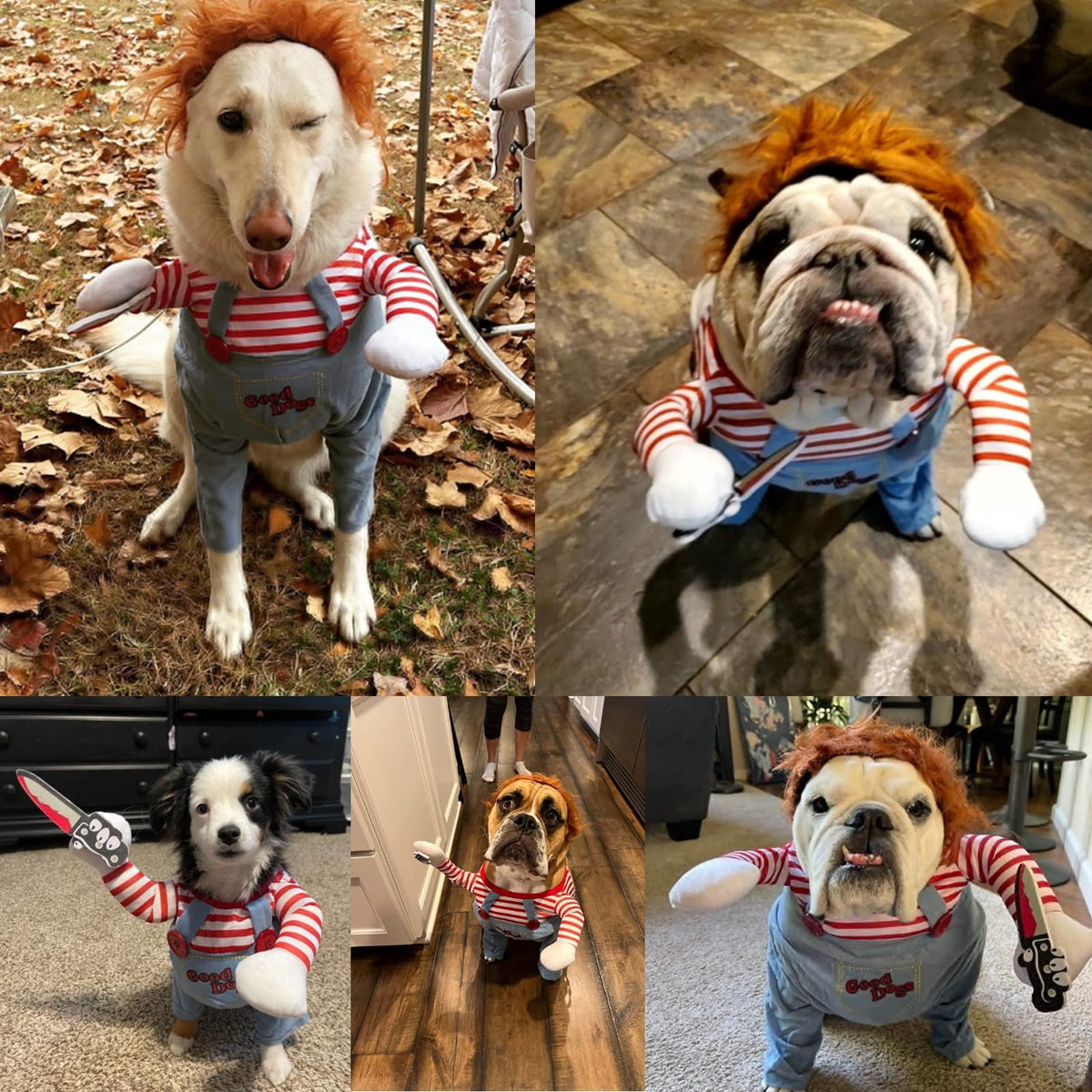 WILLED Halloween Deadly Dog Costume, Funny Pet Cosplay Christmas Outfit, Adjustable Party Dress Up Clothes for Small Med