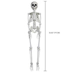 Faux Skeleton Decoration, White, 35", Halloween by Way To Celebrate