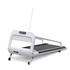 Witaxima Pet Treadmill, 2.5HP, 41.34 x 15.75 in Running Surface, Off White