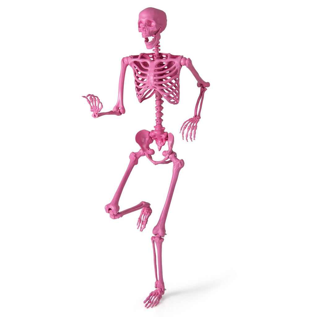 Costway 5.5 FT Poseable Halloween Skeleton Life-Size Decoration with Movable Joints Pink