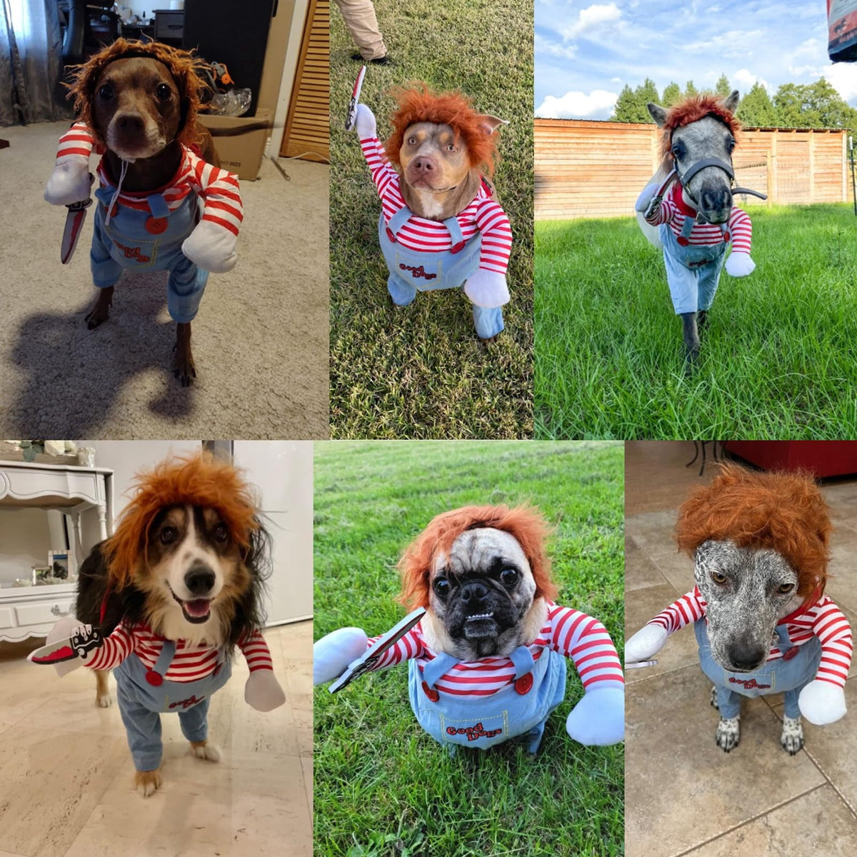 WILLED Halloween Deadly Dog Costume, Funny Pet Cosplay Christmas Outfit, Adjustable Party Dress Up Clothes for Small Med