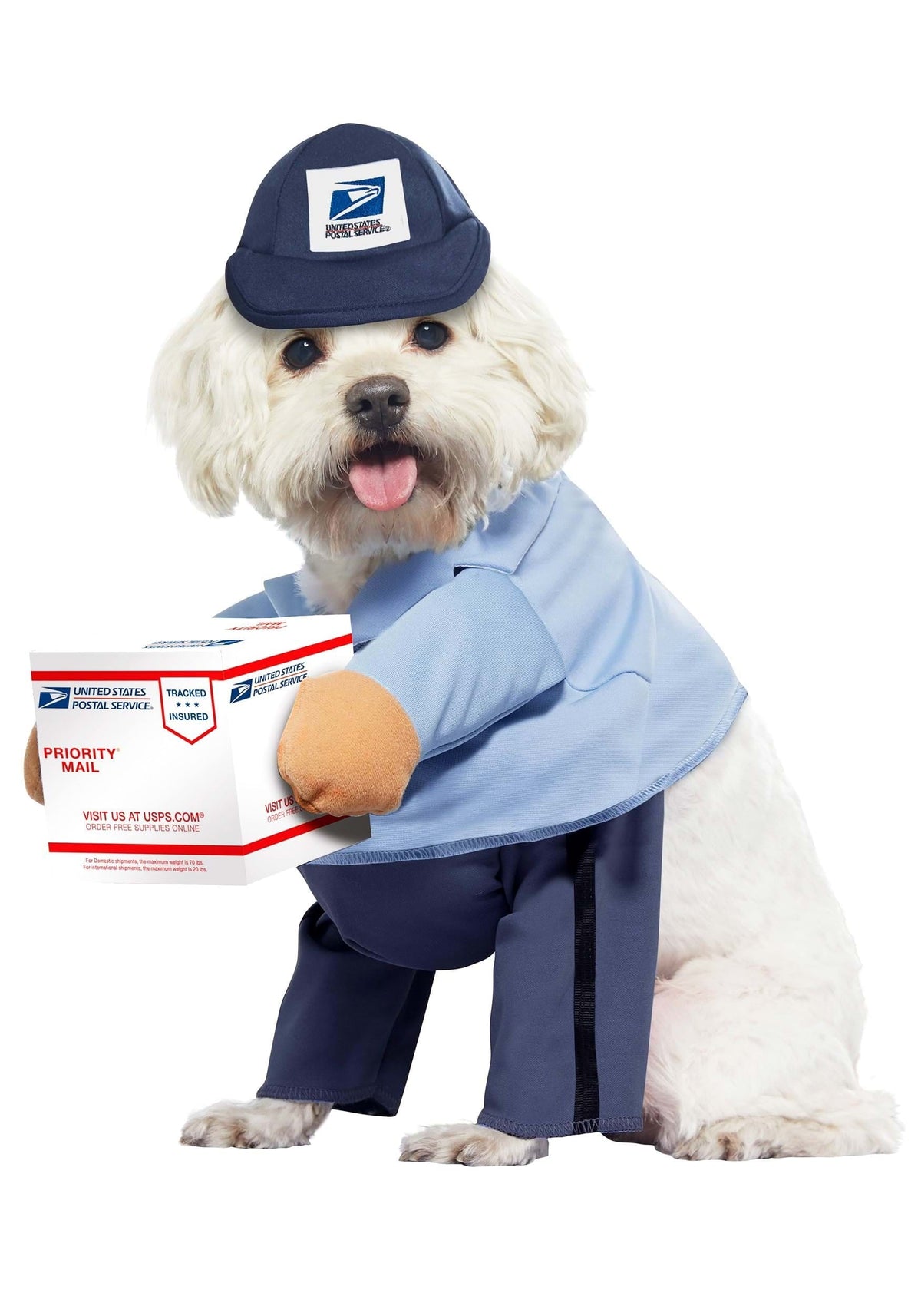California Costumes US Mail Carrier Pup Dog Costume | X-Small Unisex