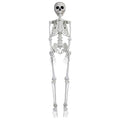 Faux Skeleton Decoration, White, 35", Halloween by Way To Celebrate
