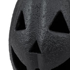 My Texas House Halloween Jack-o'-Lantern Tabletop Decoration, Black, 13"