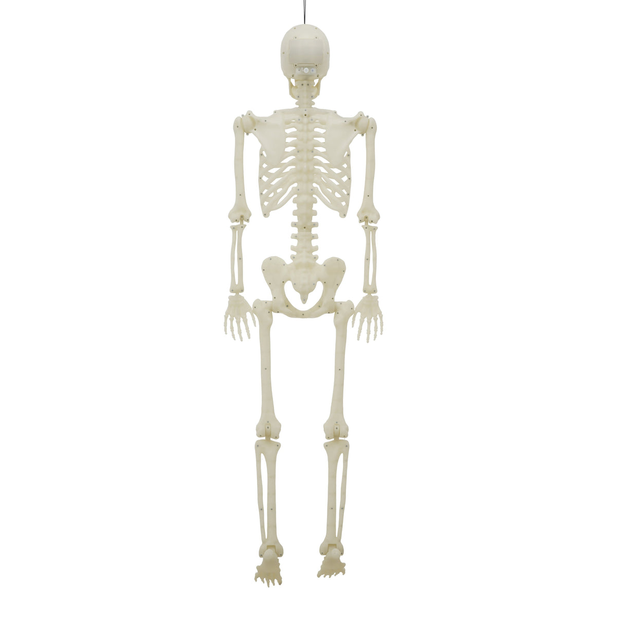 Light-Up LED Poseable Skeleton, Multicolor, 5', Halloween by Way To Celebrate