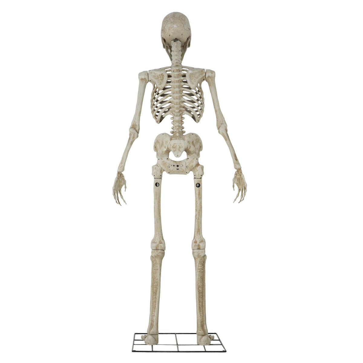 Way To Celebrate 8-Foot Animated Skeleton Plastic Outdoor Halloween Decor
